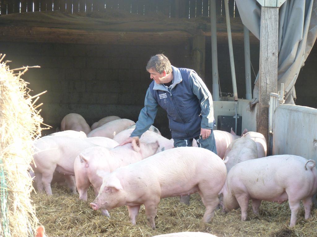La Ferme Chauvet Bed & Breakfast Chantenay-Villedieu Eksteriør bilde